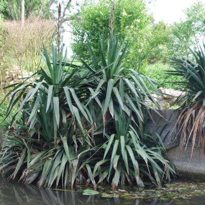 Les Hortillonages